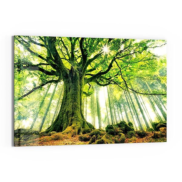 DEQORI Glasbild 'Eindrucksvoller Baum', 'Eindrucksvoller Baum', günstig online kaufen