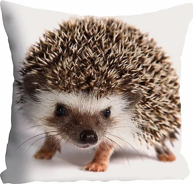queence Dekokissen »Veit«, (1 St.), mit knuffigem Igel, Kissenhülle ohne Fü günstig online kaufen