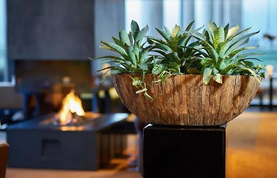 Woody Tischgefäß in Cemani-Holz  Ø 43 cm, Höhe 22 cm günstig online kaufen
