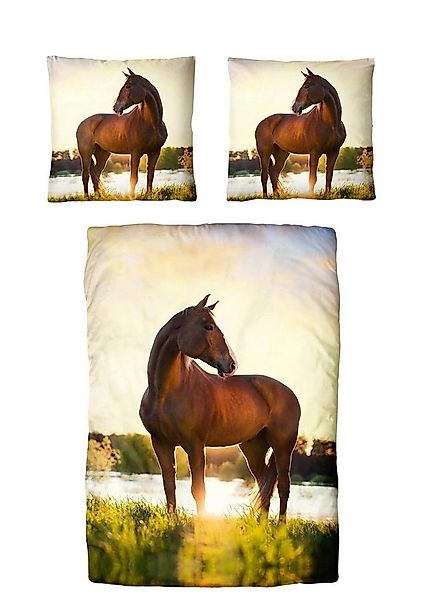 Traumschloss Bettwäsche TS Edition, Baumwolle, 2 teilig, Pferd im Sonnenauf günstig online kaufen