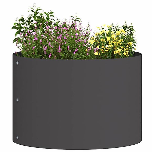 vidaXL Blumentopf Gartenblumentopf Schwarz 30 x günstig online kaufen