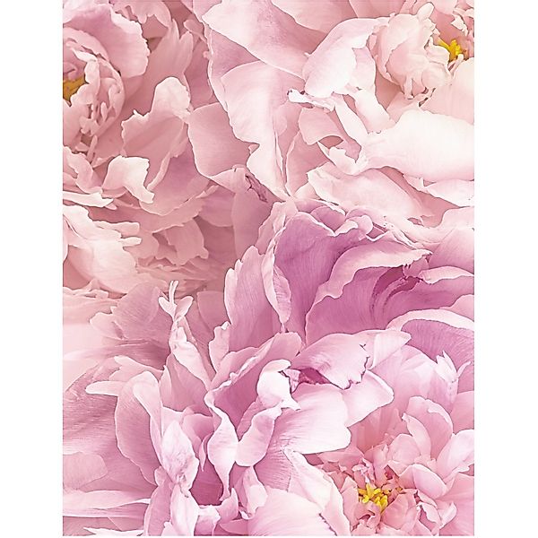 Komar Wandbild Soave 30 x 40 cm günstig online kaufen