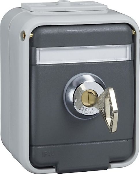 Elso Steckdose AP44 verschließbar 455019 - 455019 günstig online kaufen