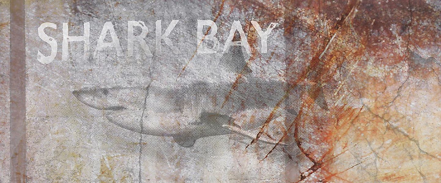 Architects Paper Fototapete "Shark Bay" Vlies, Wand, Schräge günstig online kaufen