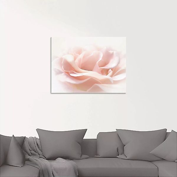 Artland Glasbild »Rose I«, Blumen, (1 St.), in verschiedenen Größen günstig online kaufen