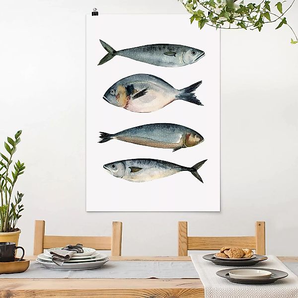 Poster - Hochformat Vier Fische in Aquarell II günstig online kaufen