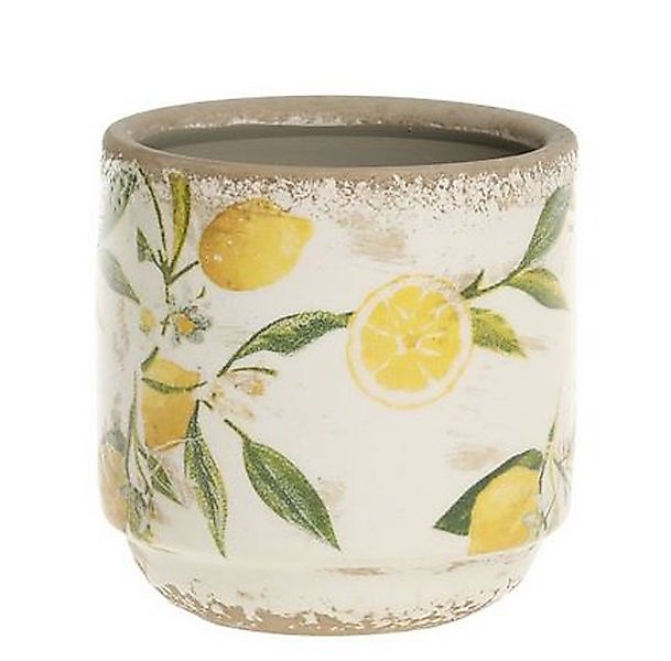 Chic Antique Übertopf Limone Blumentopf H10/D10 günstig online kaufen