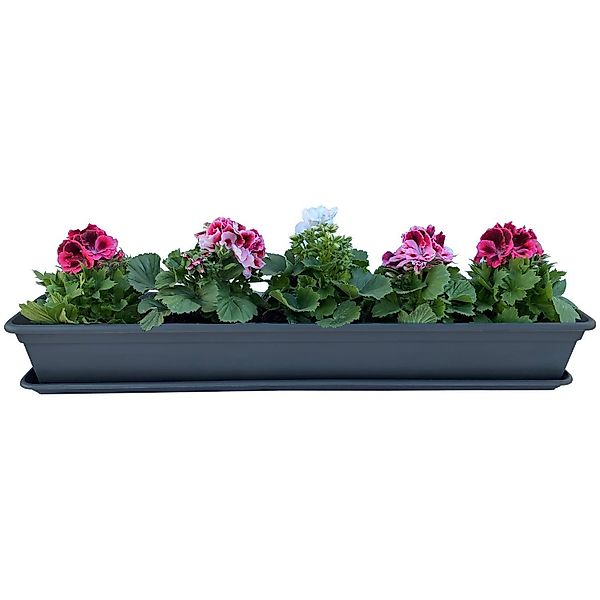 BURI Blumenkasten Blumenkasten Anthrazit 80 oder günstig online kaufen