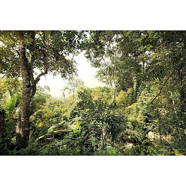Komar Fototapete Vlies Dschungel  400 x 260 cm günstig online kaufen