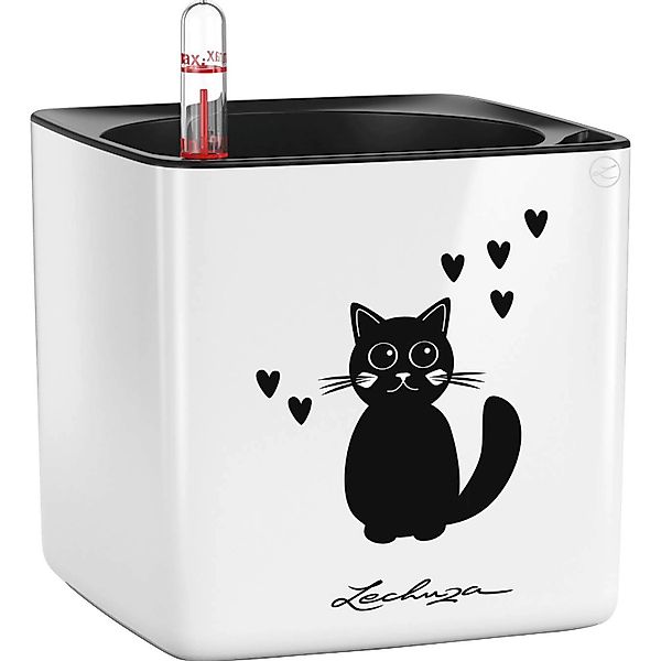 Lechuza® Kräutertopf Cube Glossy Cat 14 günstig online kaufen