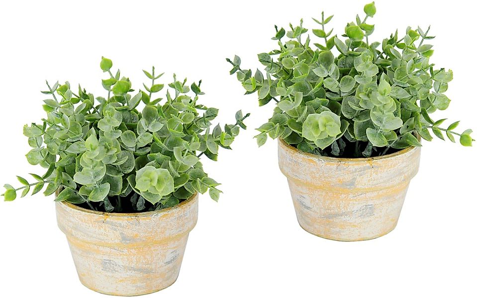 I.GE.A. Kunstpflanze "Künstlicher Eukalyptus im Topf 2er Set Pflanze", Deko günstig online kaufen
