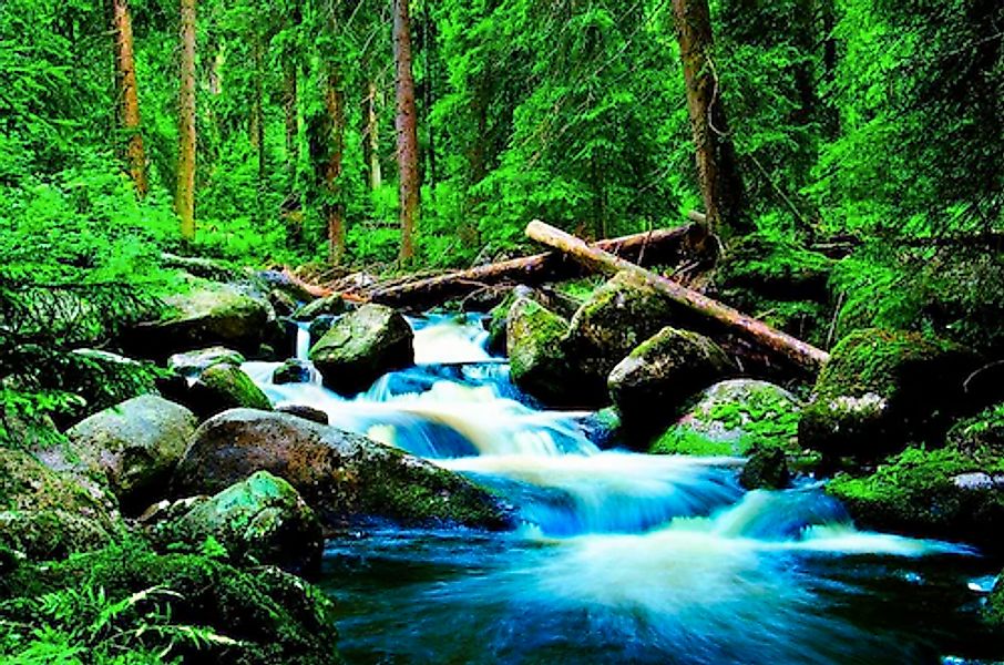 Papermoon Fototapete »Deep Forrest« glatt günstig online kaufen