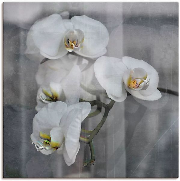 Artland Wandbild "Weisse Orchideen - white Orchid", Blumen, (1 St.) günstig online kaufen