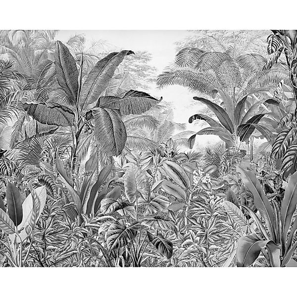 Komar Vliesfototapete Roraima 350 cm x 280 cm günstig online kaufen