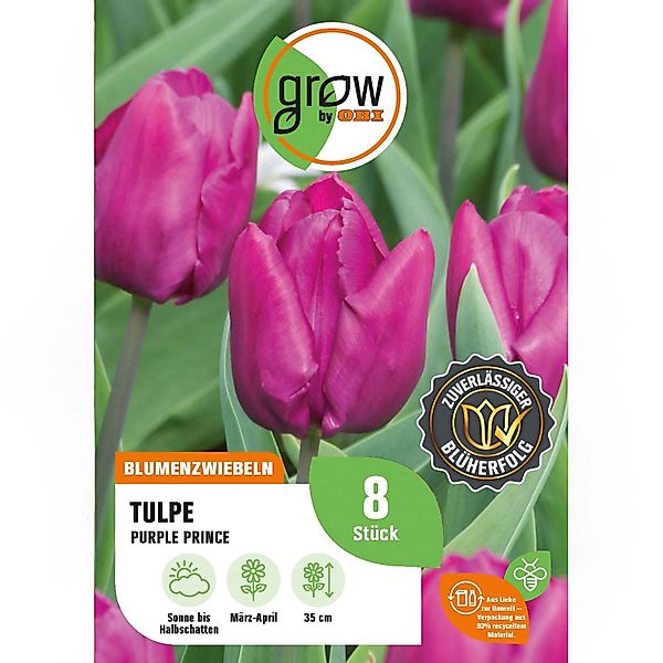GROW by OBI Tulpe Purple Prince Purple 8 Stück Tulipa single early günstig online kaufen