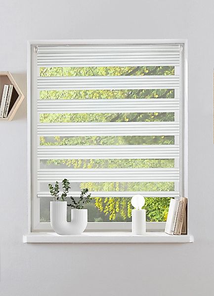 my home Doppelrollo "TIMELI" Lichtschutz Sichtschutz ohne Bohren freihängen günstig online kaufen