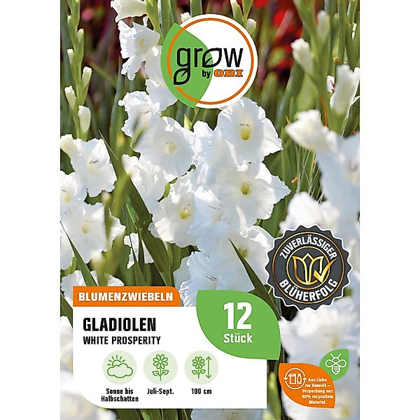 GROW by OBI Gladiole White Prosperity Höhe ca. 100 cm Gladiolus grandifloru günstig online kaufen