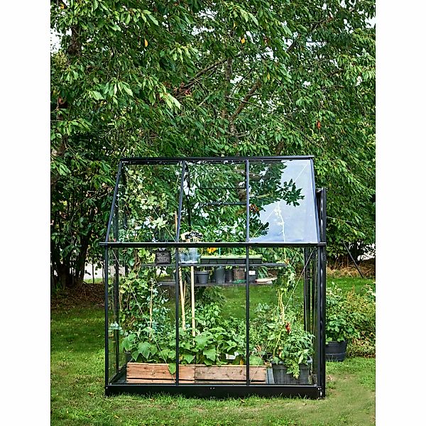 Halls Gewächshaus Qube 66 Schwarz 3,9 m² günstig online kaufen