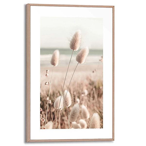 Reinders Gerahmtes Bild Ziergras für Wohnzimmer 30 cm x 20 cm Beige günstig online kaufen