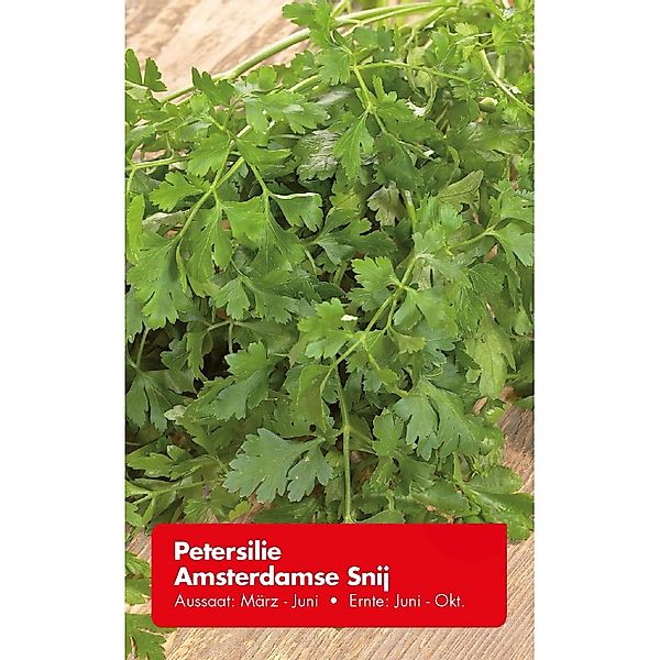 Petersilie Amsterdamse Snij günstig online kaufen