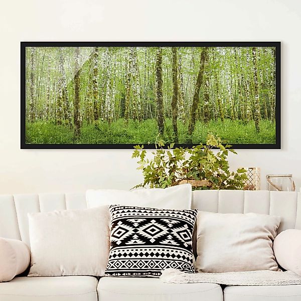 Bild mit Rahmen Natur & Landschaft - Panorama Hoh Rainforest Olympic Nation günstig online kaufen