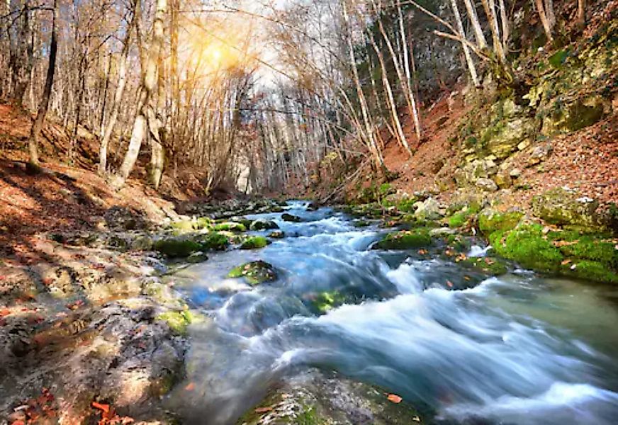 Papermoon Fototapete »Fluss durch Wald« günstig online kaufen