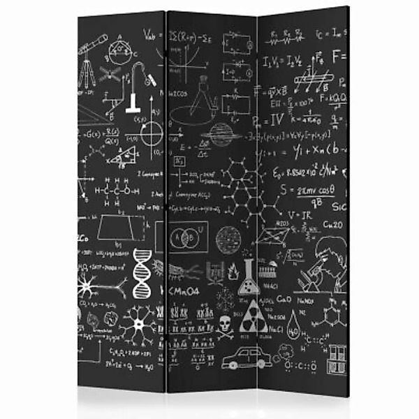 artgeist Paravent Science on Chalkboard [Room Dividers] schwarz/weiß Gr. 13 günstig online kaufen