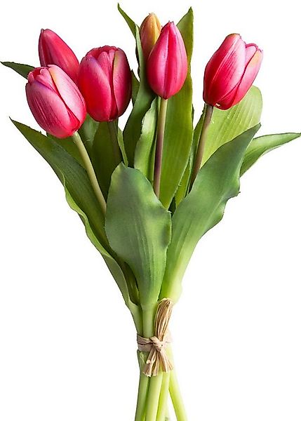 Kunstblume Willa Tulpe, Botanic-Haus, Höhe 32 cm, Tulpenbündel im 7er-Set günstig online kaufen