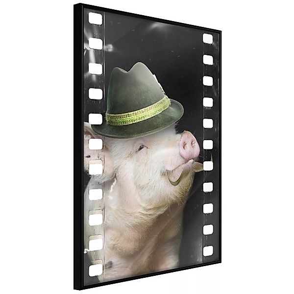 Poster - Dressed Up Piggy günstig online kaufen