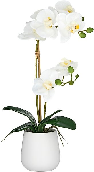 Kunstorchidee Orchidee Phalaenopsis, Creativ green, Höhe günstig online kaufen