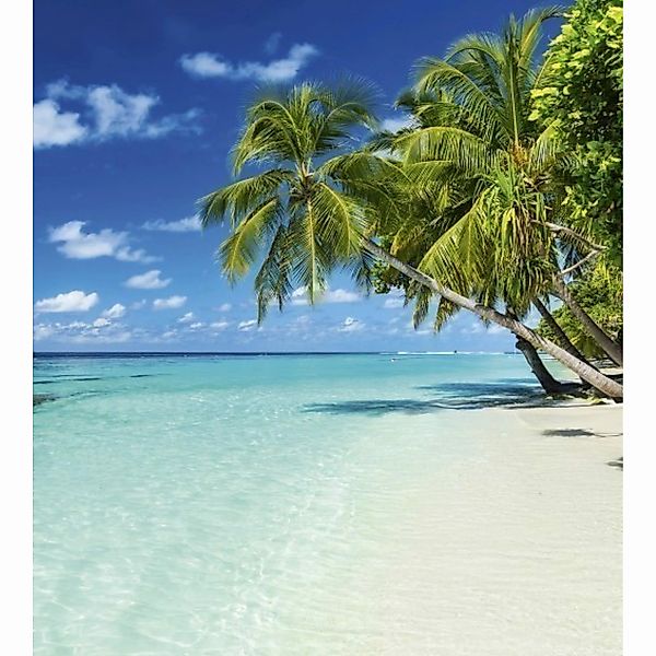 Fototapete PARADISE BEACH  | MS-3-0215 | Blau | Digitaldruck auf Vliesträge günstig online kaufen
