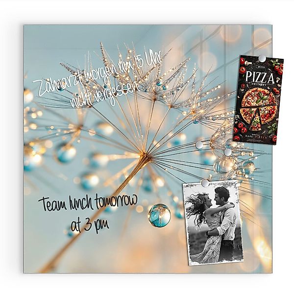 Primedeco Magnettafel Glas Pusteblume Wassertropfen Pinnwand günstig online kaufen