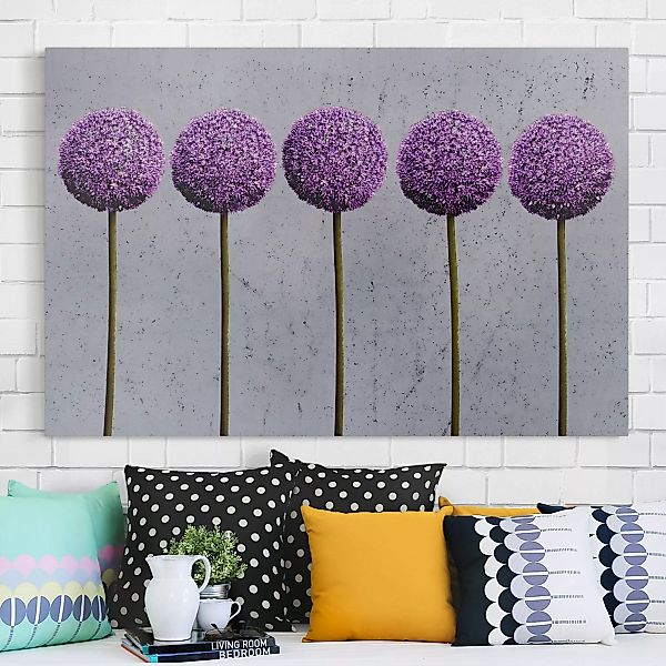 Leinwandbild - Querformat Allium Kugel-Blüten günstig online kaufen