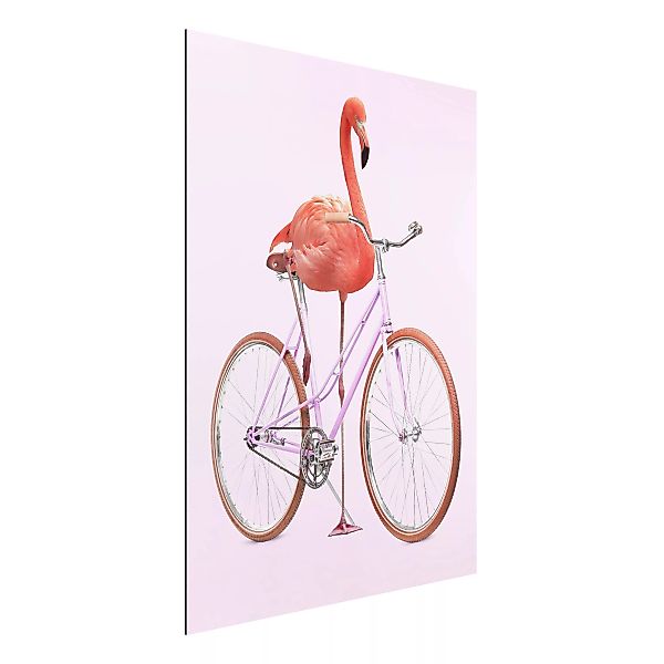 Alu-Dibond Bild Kunstdruck - Hochformat 3:4 Flamingo mit Fahrrad günstig online kaufen