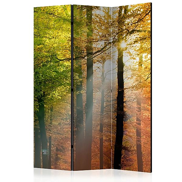 3-teiliges Paravent - Forest Colours [room Dividers] günstig online kaufen