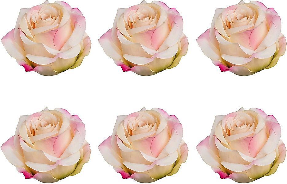 Creativ green Kunstblume "Rose mit Clip" im 6er Set günstig online kaufen