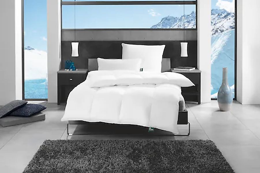 fan Gänsefederkopfkissen »f.a.n. Alaska« 1 Stk. tlg. günstig online kaufen