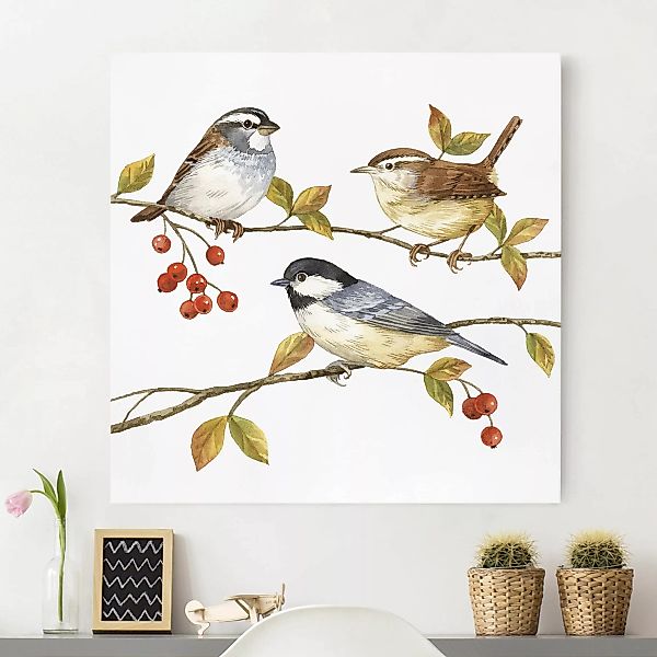 Leinwandbild Tiere - Quadrat Vögel und Beeren - Meisen günstig online kaufen