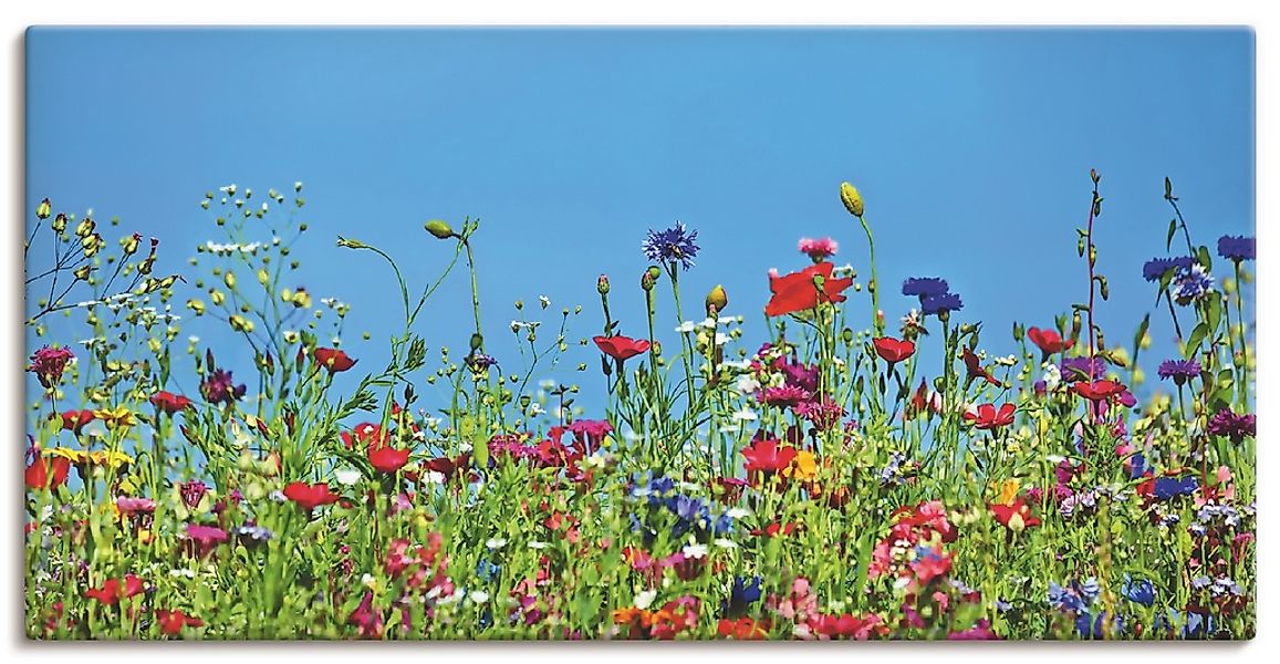 Artland Leinwandbild "Blumenwiese II" Blumenwiese 1 Stk. tlg. auf Holzrahme günstig online kaufen