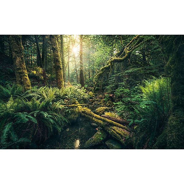 Vlies Fototapete Elves Cathedral 450x280 cm günstig online kaufen