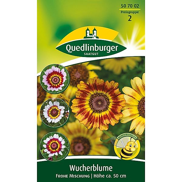 Quedlinburger Wucherblume ''Frohe Mischung'' günstig online kaufen