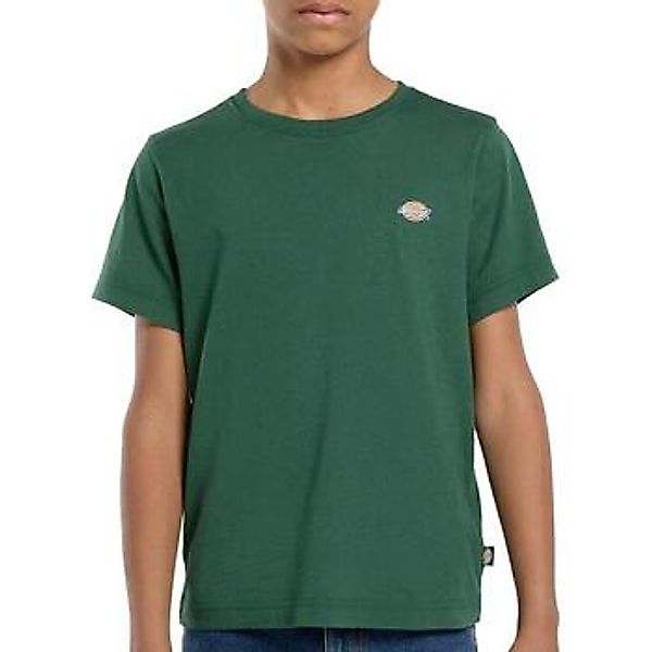 Dickies  T-Shirt DK0KSR64PIN1 günstig online kaufen
