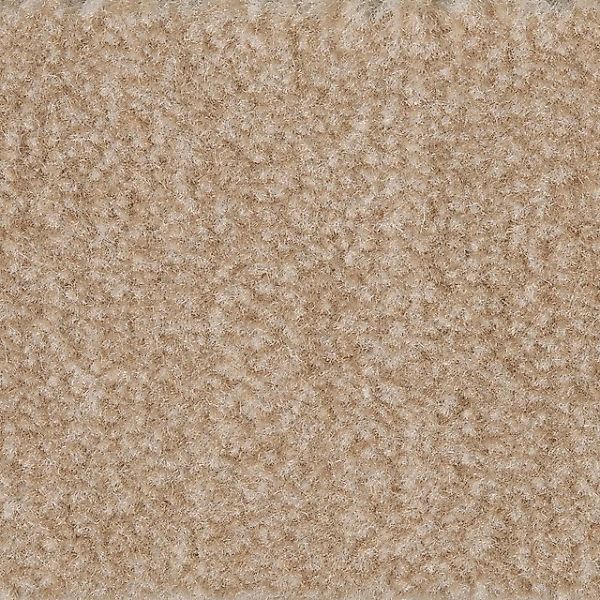 Bodenmeister Teppichboden »Jupiter, Velours - meliert, Made in Belgium«, re günstig online kaufen