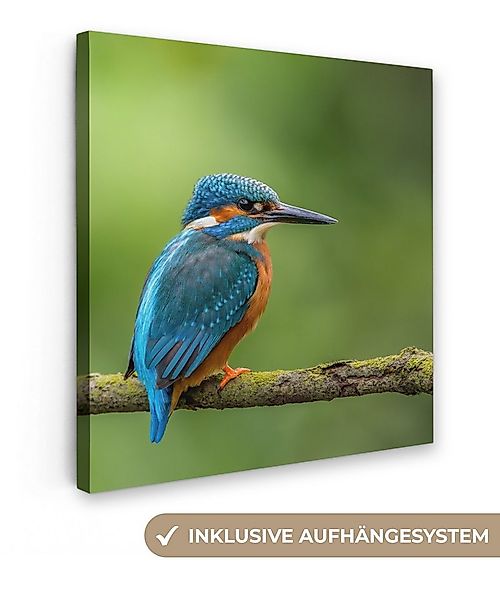 OneMillionCanvasses® Leinwandbild Eisvogel - Zweig - Moos - Vogel - Grün, F günstig online kaufen