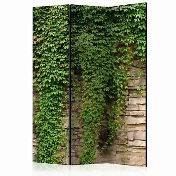 artgeist Paravent Ivy wall [Room Dividers] grün-kombi Gr. 135 x 172 günstig online kaufen