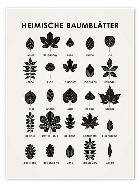 Posterlounge Wandbild Heimische Baumblätter, Iris Luckhaus, erhältlich als günstig online kaufen