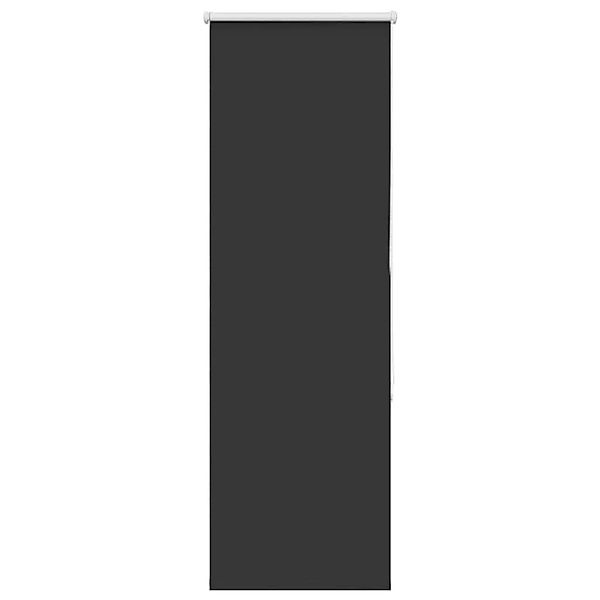 vidaXL Verdunkelungsrollo Schwarz 40x130 cm Stoffbreite 35,7 cm 4010830 günstig online kaufen