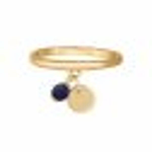 Ring 925 Silber vergoldet Anhänger Lapislazuli Plättchen günstig online kaufen