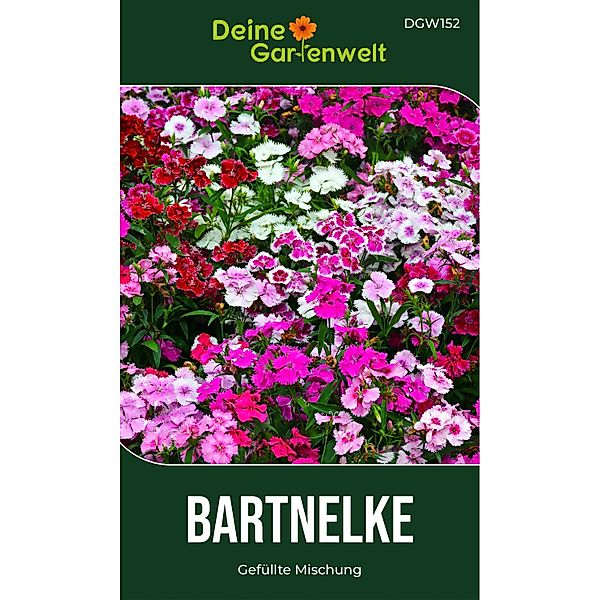 Deine Gartenwelt Bartnelke Gefüllte Mischung Samen günstig online kaufen