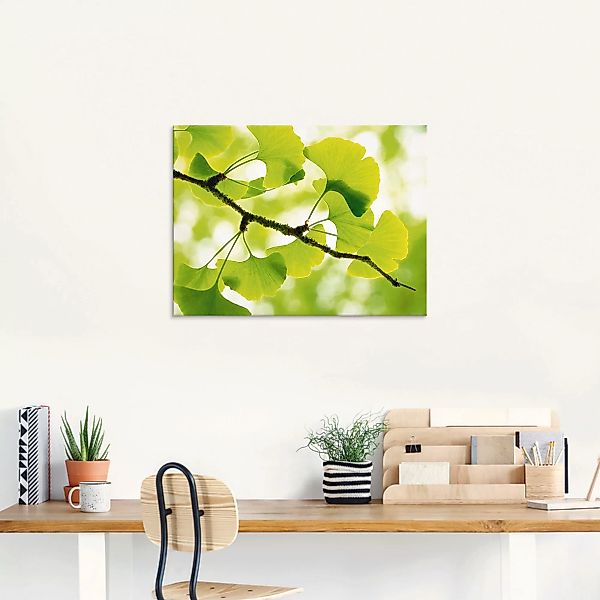 Artland Glasbild "Ginkgo", Blätter, (1 St.), in verschiedenen Größen günstig online kaufen